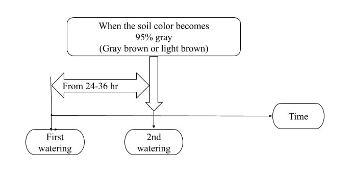 The image showing diagram of Watering Frequency Without Drying