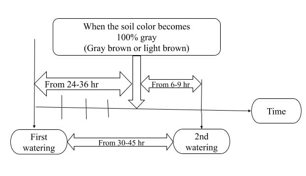 Image showing Watering Frequency for Light Drying