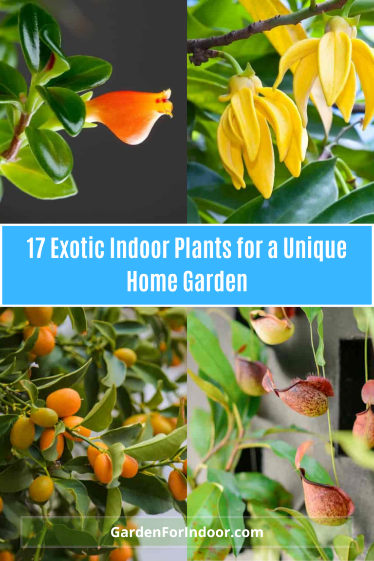 17 Exotic Indoor Plants: Bring Adventure to Your Home